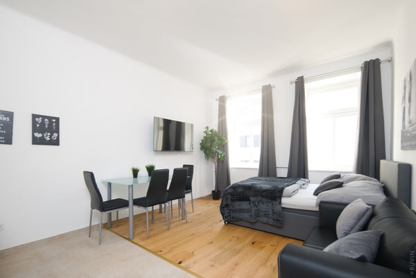 This bright apartment is a great option for a traveling couple or a small family  ⍟King Bed Home+Netflix⍟ Next to Hauptbahnhof Entire rental unit vacation rental 52797524