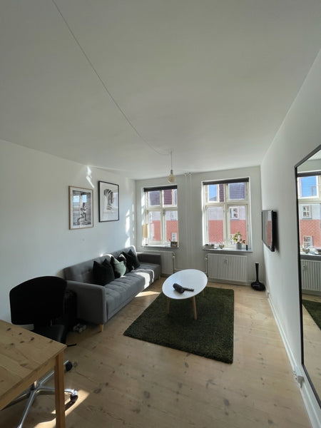 Copenhagen, Denmark Cozy city Apartment, in the Heart of Nørrebro Entire rental unit vacation rental 674321761018215039