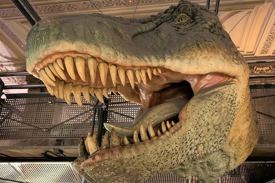 Mamma Mia! Discover the Dinosaurs at London Natural History Museum Tour for Kids  Private Tours and Travel Guide Europe London CITY London Destination Tour