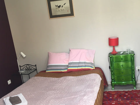 Room with private bathroom in a large appartment with a large peacefull private  Bordeaux, France B&B cosy. City center. Quiet. Patio Private room in home vacation rental 9781589