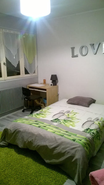 chambre de 12 m2 avec un bz 2 places avec un gros matelas dessus. Je peux rajout Villenave-d'Ornon, France chambre dans maison mitoyenne piscine non chauf Private room in home vacation rental 7334207