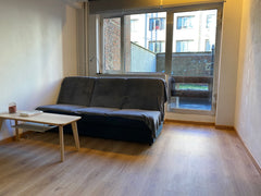 Recent gerenoveerde rustige studio van circa 25 m2 op 500 meter van de Groenplaa Brussels, Belgium Studio in het midden van Antwerpen Entire rental unit vacation rental 53928545