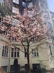 Cozy apartment in the hip Vesterbro area. Lots of cafees, bars and small shops j Copenhagen, Denmark Cozy apt. in trendy Vesterbro Entire rental unit vacation rental 11945020