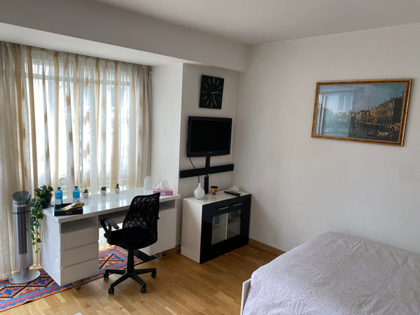 Superbe appartement situé dans le quartier européen juste en face du parc cinqua  Superb apartment in the European district Entire rental unit vacation rental 645480113864827900
