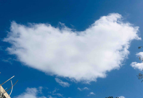 Logement en appartement en ville mais au calme et entouré de verdure.<br /><br / Cenon, France La maison de Mano Private room in condo vacation rental 40019042