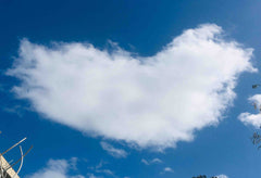 Logement en appartement en ville mais au calme et entouré de verdure.<br /><br / Cenon, France La maison de Mano Private room in condo vacation rental 40019042