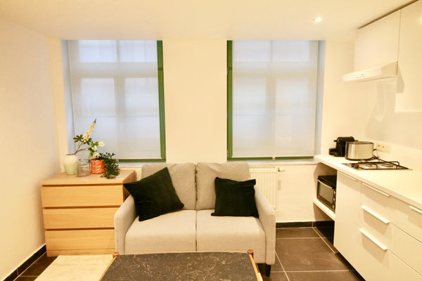 Magnifique appartement 1 chambre , très lumineux et super confortable idéalement Brussels, Belgium Amazing apt. St Gilles Entire rental unit vacation rental 554760781130309766
