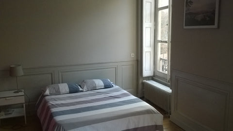 We are offering 2 rooms (different offers on Airbnb) in our charming apartement, Lyon, France Charming room with garden view - City Center nº2 Private room in rental unit vacation rental 15837197